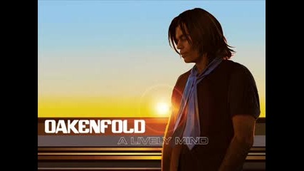 Paul Oakenfold - New years day (trance)