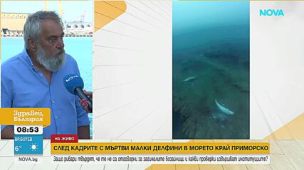 След кадрите с мъртви животни в морето край Приморско: Каква е позицията на рибарите