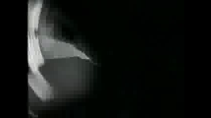 Einsturzende Neubauten - Die Interimsliebenden