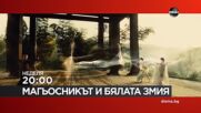 "Магьосникът и бялата змия" на 8 ноември, неделя от 20.00 ч. по DIEMA
