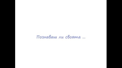 Семинар Към Същността, 5 - 9 ноември , София