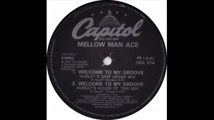 Mellow Man Ace - Welcome To My Groove