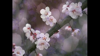 Yiruma - Spring Time 