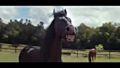 Смеещи се коне в реклама на Volkswagen - Horse Laugh Vw Commercial