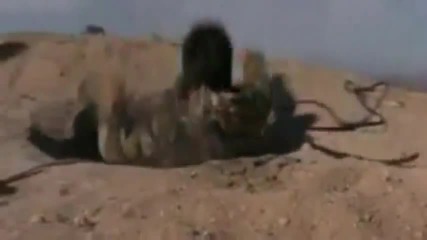 Непобедимите 2 - трейлър / Силвестър Сталоун