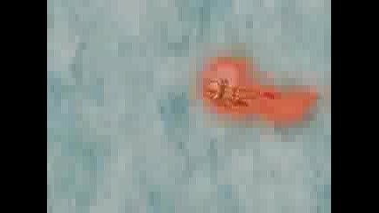 Naruto - How long