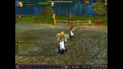 Wow Mists of Pandaria (gameplay)