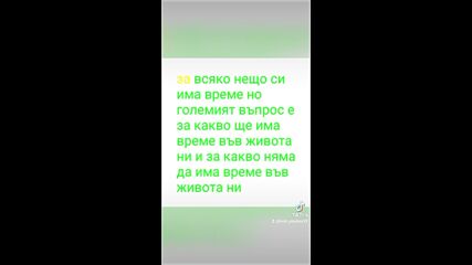 2025-03-11-133017576.mp4