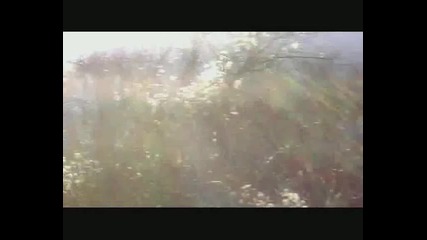 Калотина - Димитровград