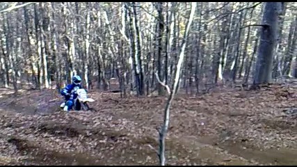 Аризона катери долината опит 2