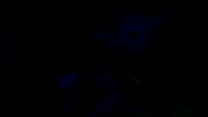 Metallica - No Leaf Clover (official Music Video)