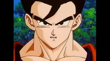 The Last Saiyan