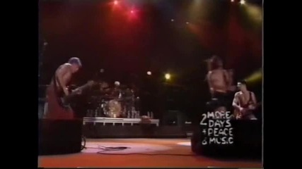 Red Hot Chili Peppers - Warped ( Live @ Woodstock )