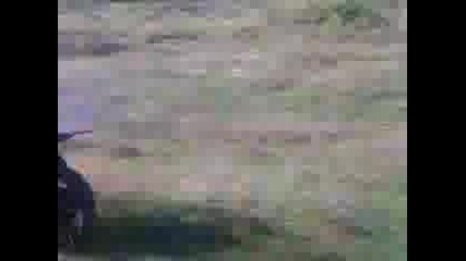 Test Drive Aprilia 