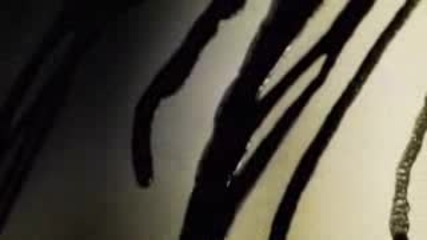 Stereo Mcs - Black Gold 