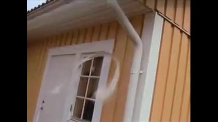 Counterstrike in Real