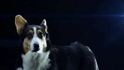 Swedish House Mafia - Save The World (official Music Video)