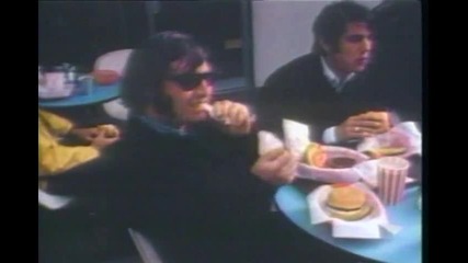 Turtles - Happy Together 