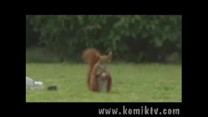 Катеричката Футболист