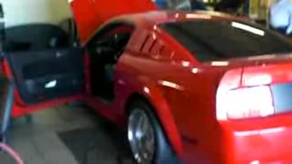 2006 Mustang Gt S197 Supercharger Dyno run 