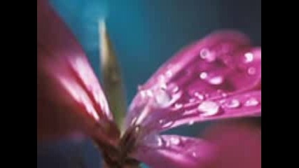 Enya - Its In The Rain