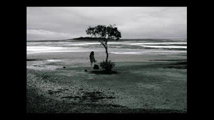 Polly Come Home - Robert Plant & Alison Krauss
