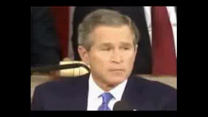 Bush Beatbox 100%smqx