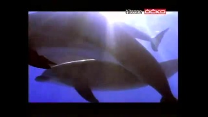 Enya - Adiemus Official Music Video