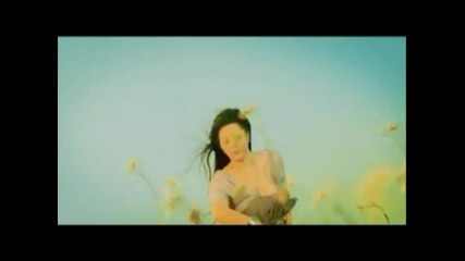 Dragana Mirkovic - Sve bih dala da si tu