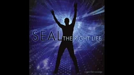 Seal , The Right Life (tiesto Mix)