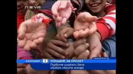 Първите щъркели дойдоха в Раковски