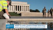 Цъфтеж на водорасли оцвети Огледалния басейн във Вашингтон в зелено