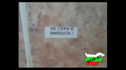 Bg Seir