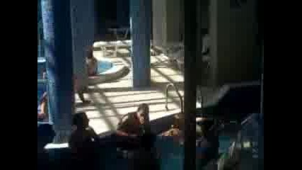 ludi na plaj 2