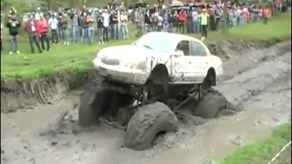 Звяр завършва в пламъци
