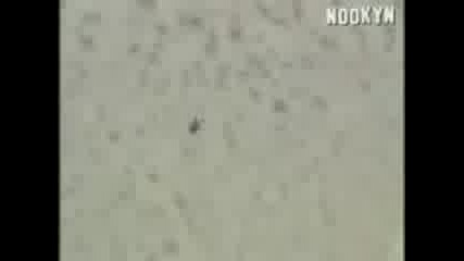 Няма риск,  няма забава