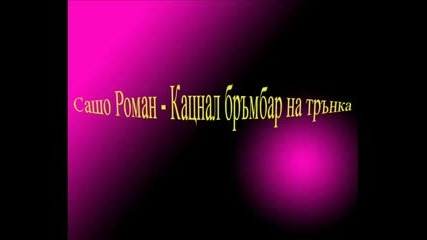 Сашо Роман - Кацнал Бръмбар На Трънка