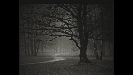 Donnie Donkov - До Първата Зора (until the Dawn)