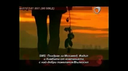 Константин - Черна Роза