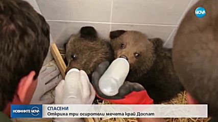 Спасиха три мечета край язовир "Доспат"