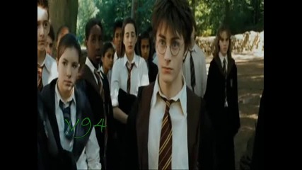 Harry / Hermione / Ron - Never Again