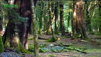 Sweet People - And The Birds Were Singing ( Best World Natural Chillout Relax Music 2013 H Q)