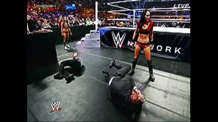 bella twins--2