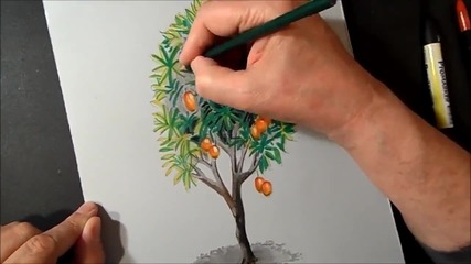 How I Draw a 3d Mango Tree, Trick Art, Time Lapse