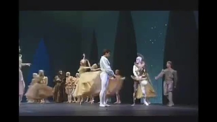 Swan lake Paris Opera 2