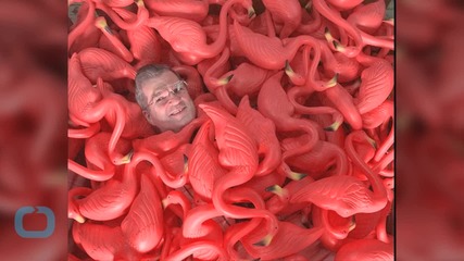 Creator of Pink Plastic Lawn Flamingo Dies at 79