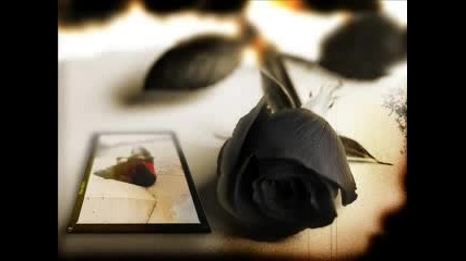 Black Rose