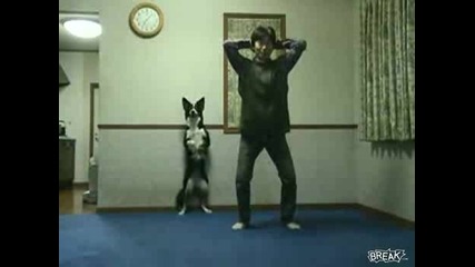 Куче прави гимнастика заедно със стопанина си!