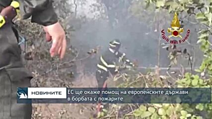 ЕС ще окаже помощ на европейските държави в борбата с пожарите
