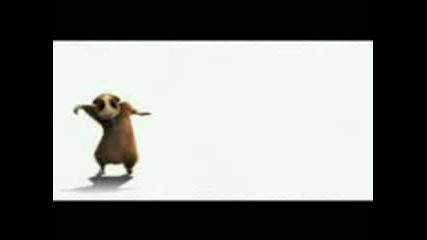 Breaking Hamster 